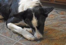 Load image into Gallery viewer, Custom Antler Dog Chew