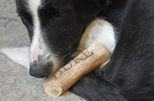 Load image into Gallery viewer, Custom Antler Dog Chew
