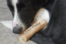 Load image into Gallery viewer, Custom Antler Dog Chew